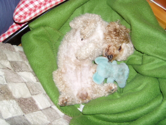 Snímek 048.jpg