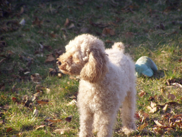 Snímek 061.jpg