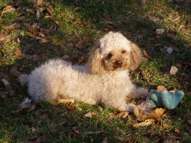 Snímek 049.jpg