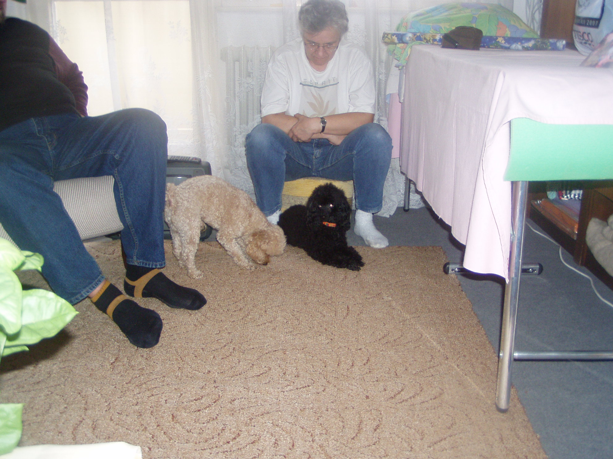 BARBORKA2007.jpg